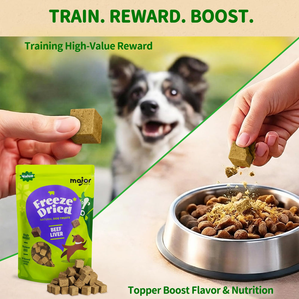 Major Pets treats on a training session demonstrating high value reward during practice