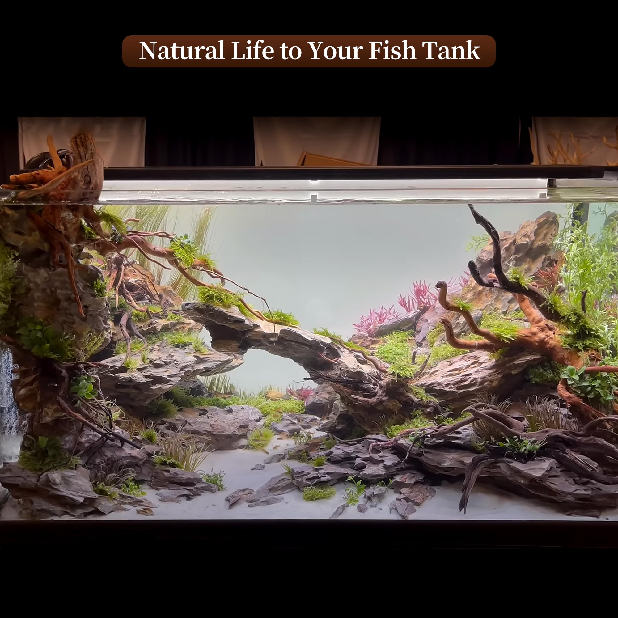 majoywoo 3pc driftwood set enhances aquarium or terrarium natural decor and structure.