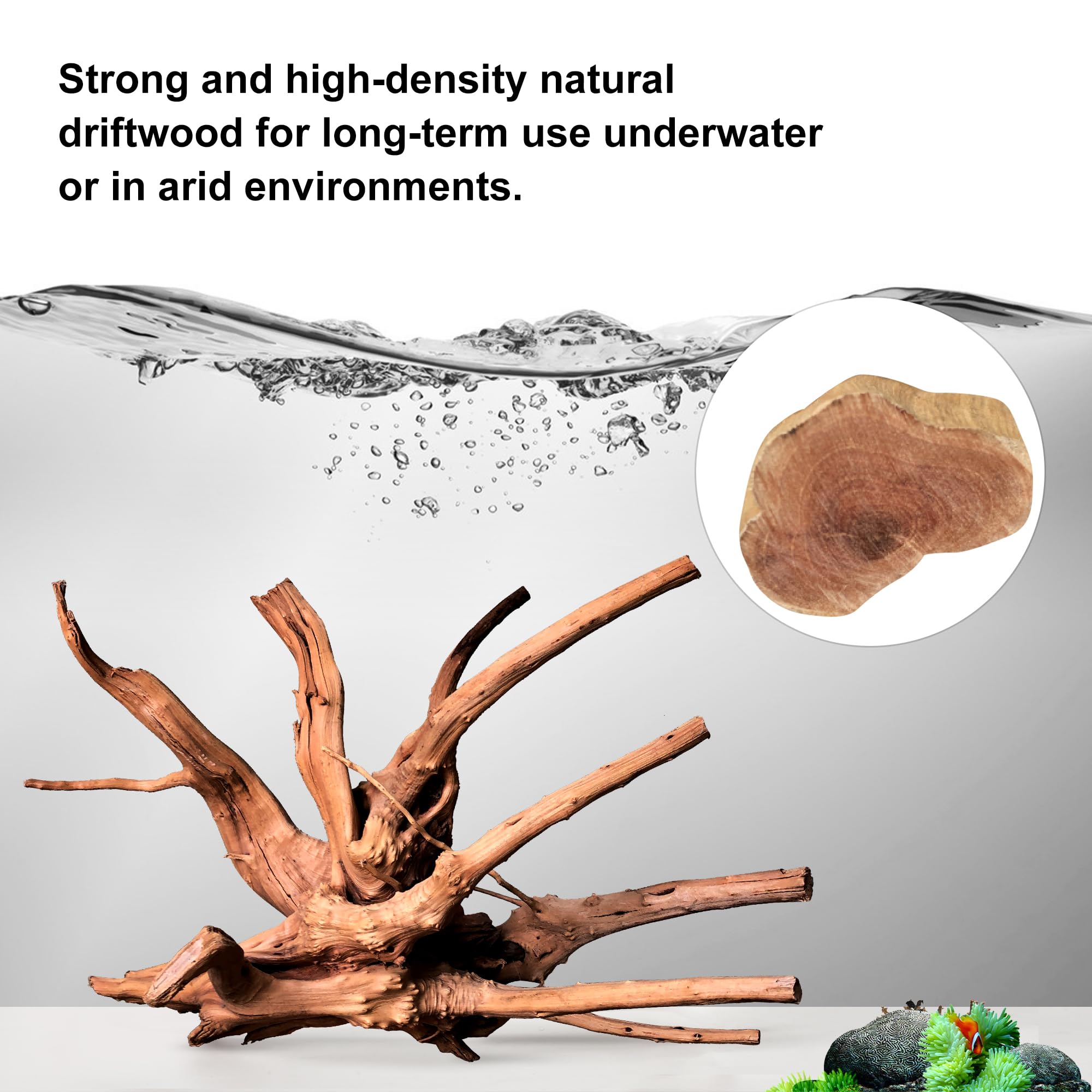 majoywoo spider wood branch provides climbing opportunities for reptiles and interesting arboreal decor