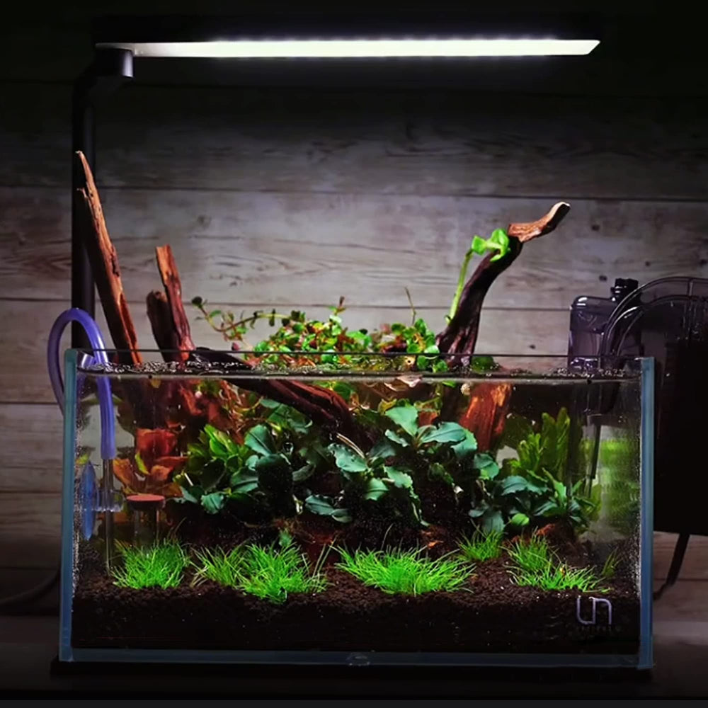 majoywoo small driftwood pieces serve as natural hides for shy fish.