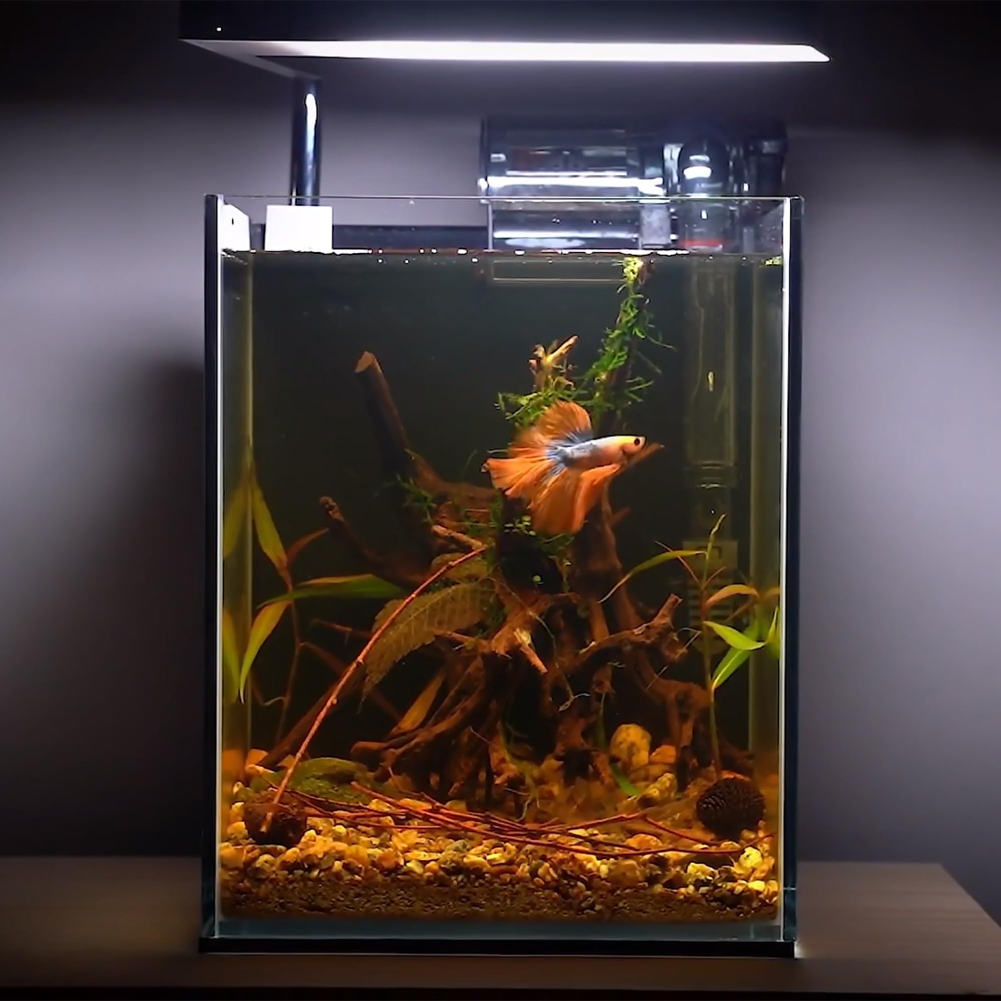 majoywoo 4-8 inch branches suit various tank sizes and styles offering flexible placement