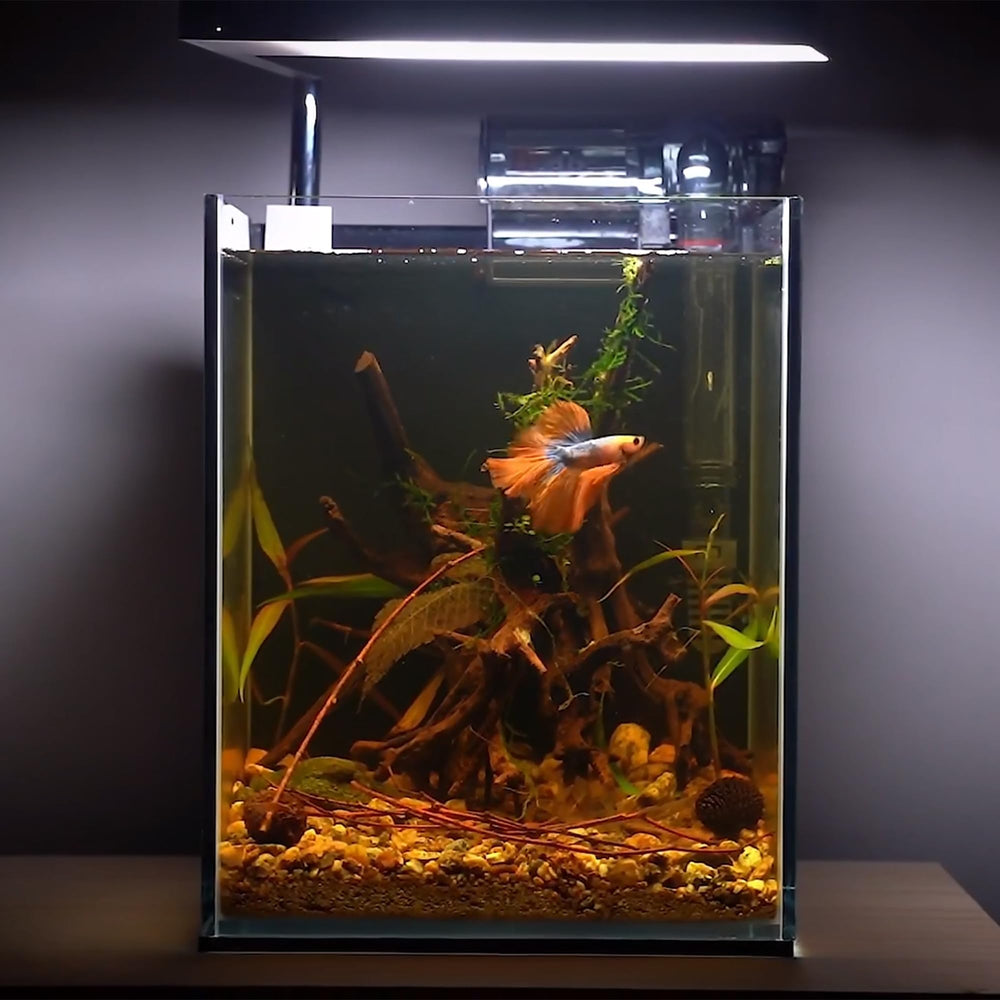 majoywoo 4-8 inch branches suit various tank sizes and styles offering flexible placement