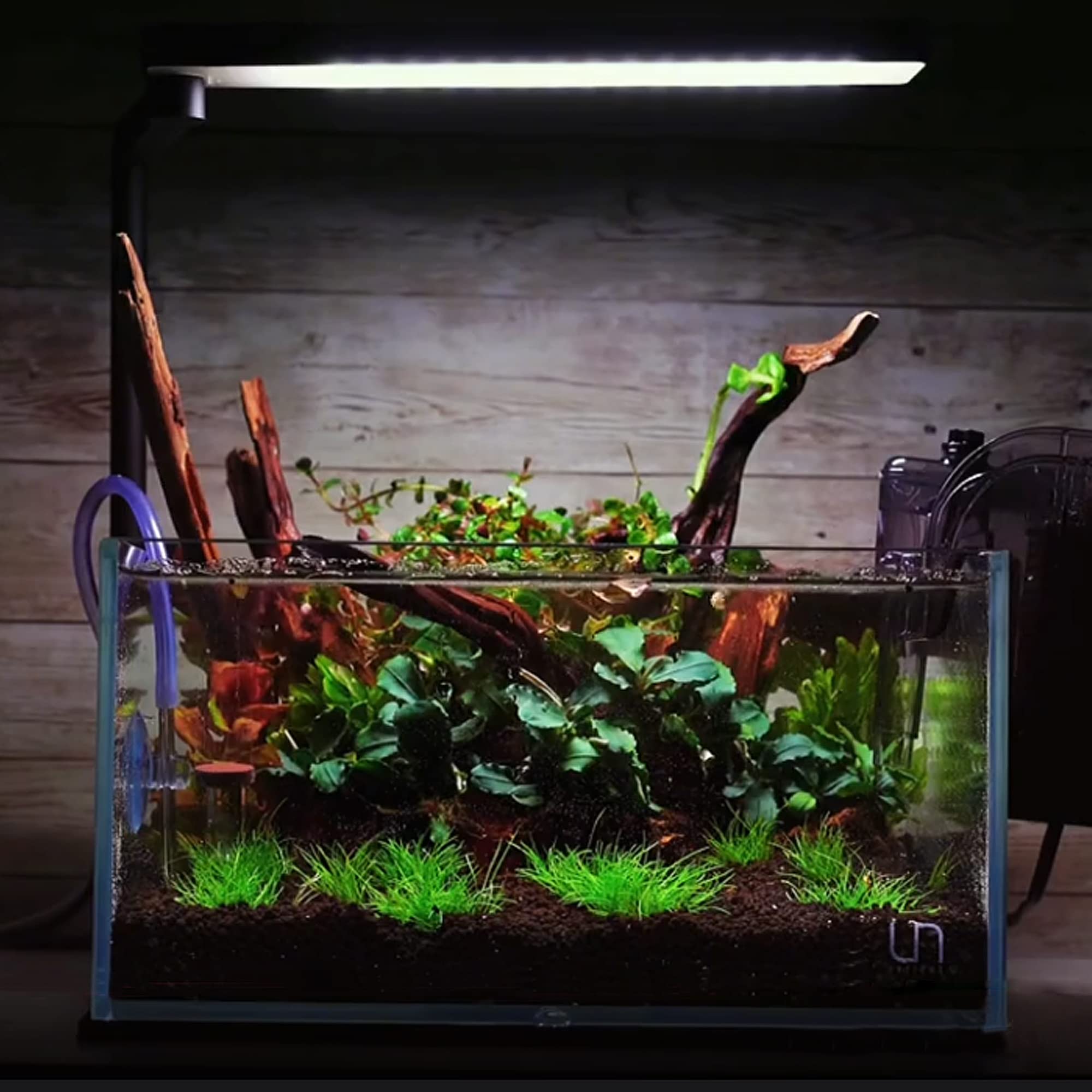 majoywoo durable aquarium decor, 4.5-7.5 inch pieces for long-term display.