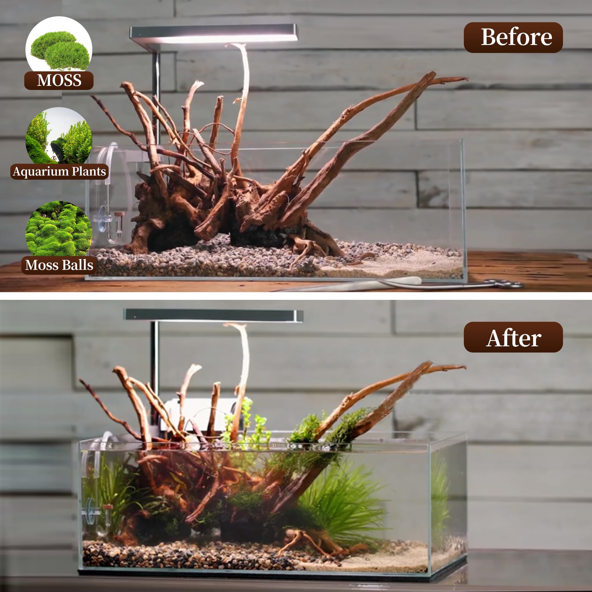 majoywoo driftwood spider wood for reptile decor offers sturdy climbing surfaces.