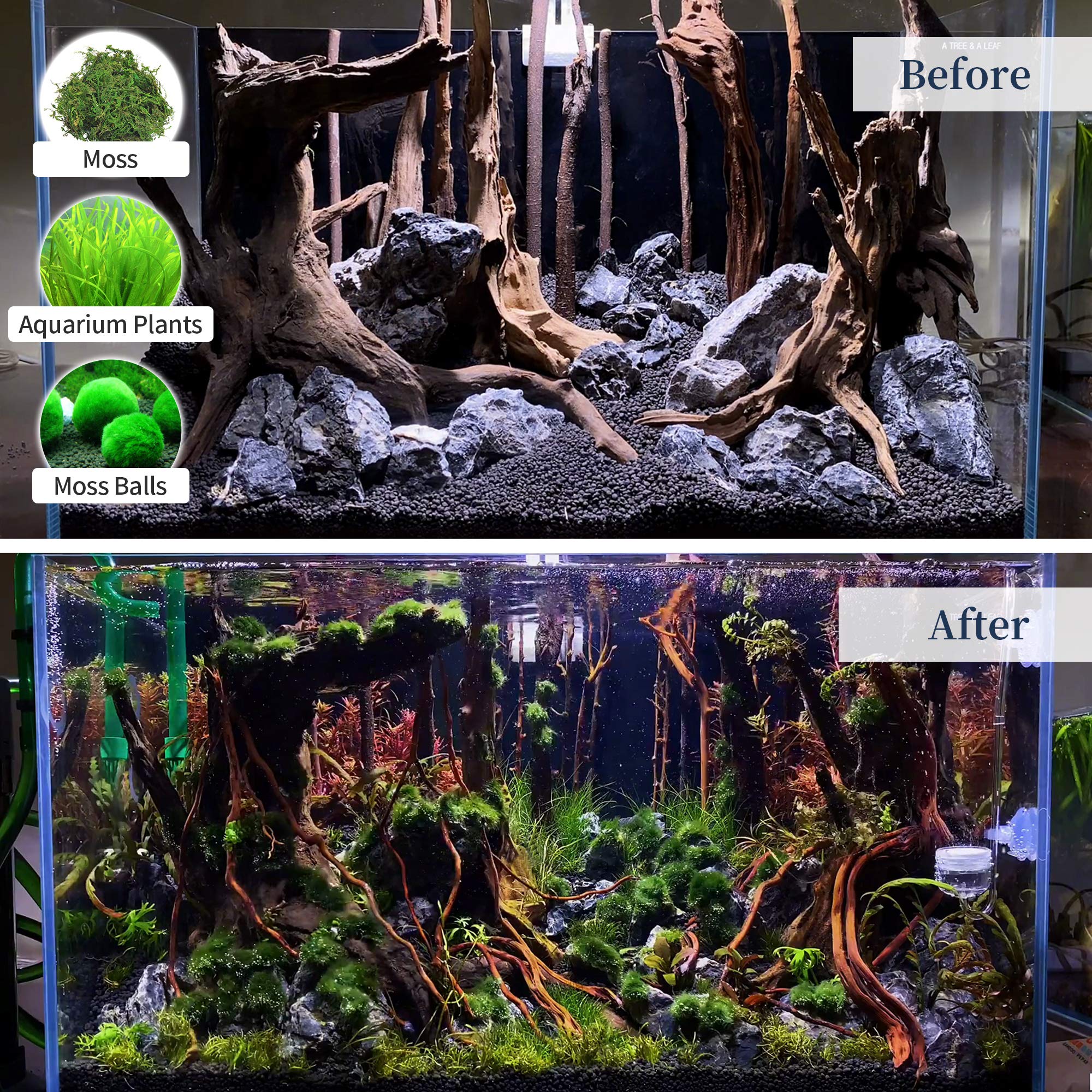 majoywoo durable driftwood wood designed for long-lasting underwater or dry displays.