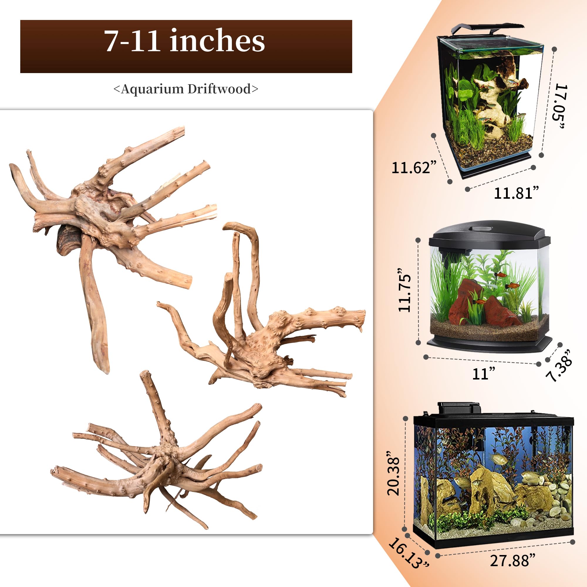 majoywoo natural driftwood branch 9in provides a versatile climbing and aesthetic element.