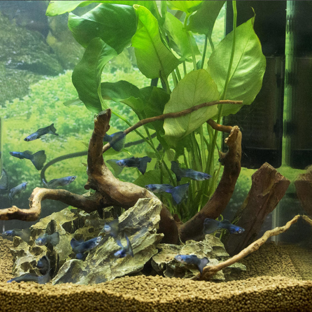 majoywoo driftwood adds rustic charm to tanks and vivariums