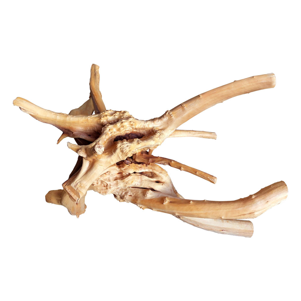 majoywoo spider wood branch 13-17 inch angle-a, adds natural habitat realism for fish tanks.