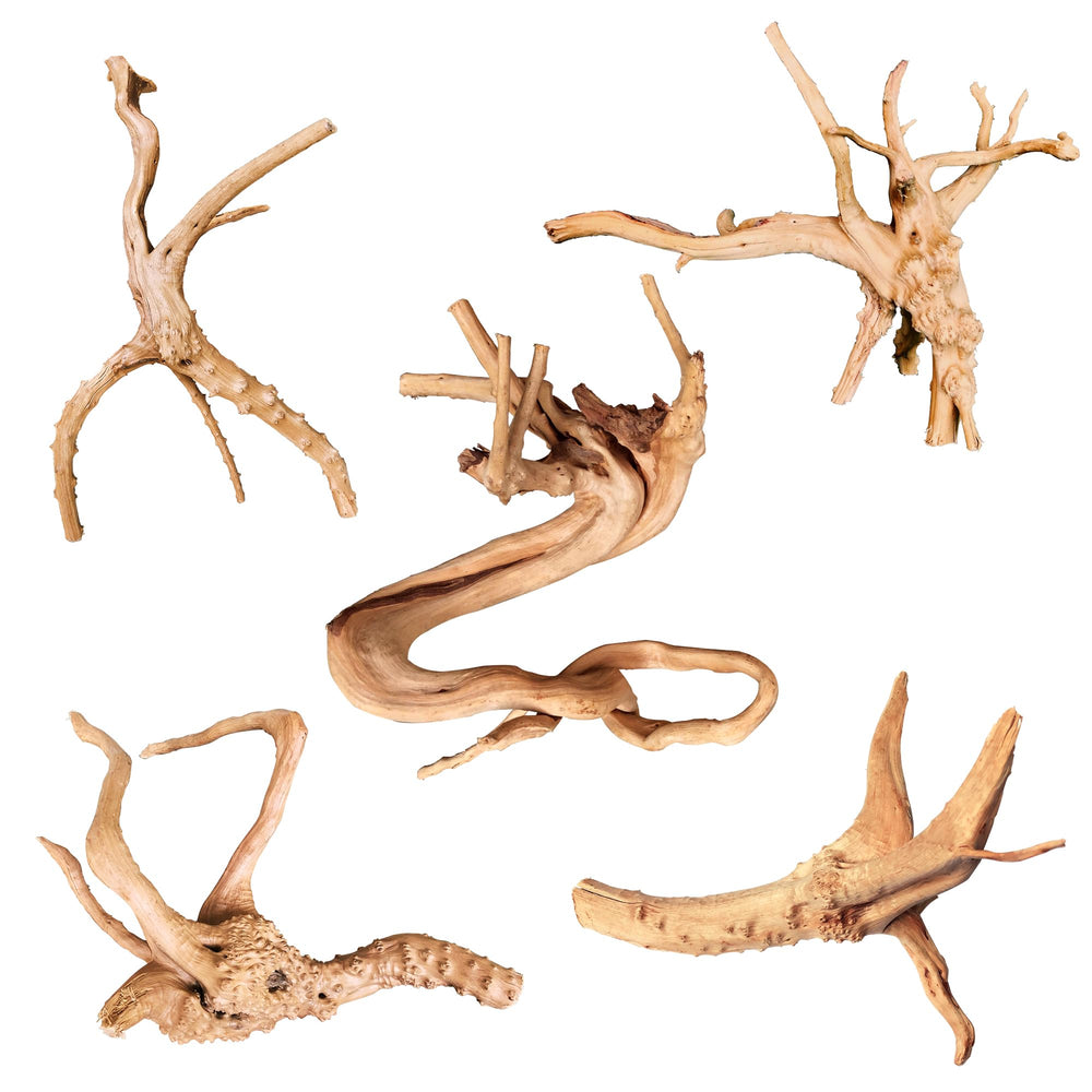 majoywoo spider wood branch 4-8 in adds natural shelter for fish and small aquatic creatures