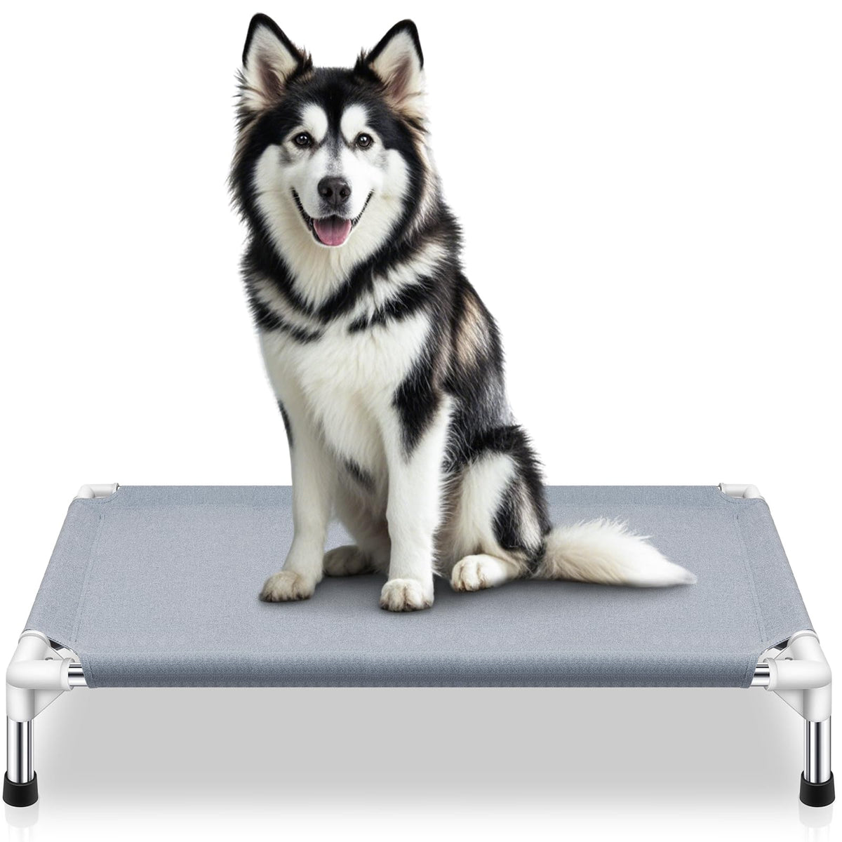 Makerfire outdoor elevated dog bed poolside view for cooling rest.