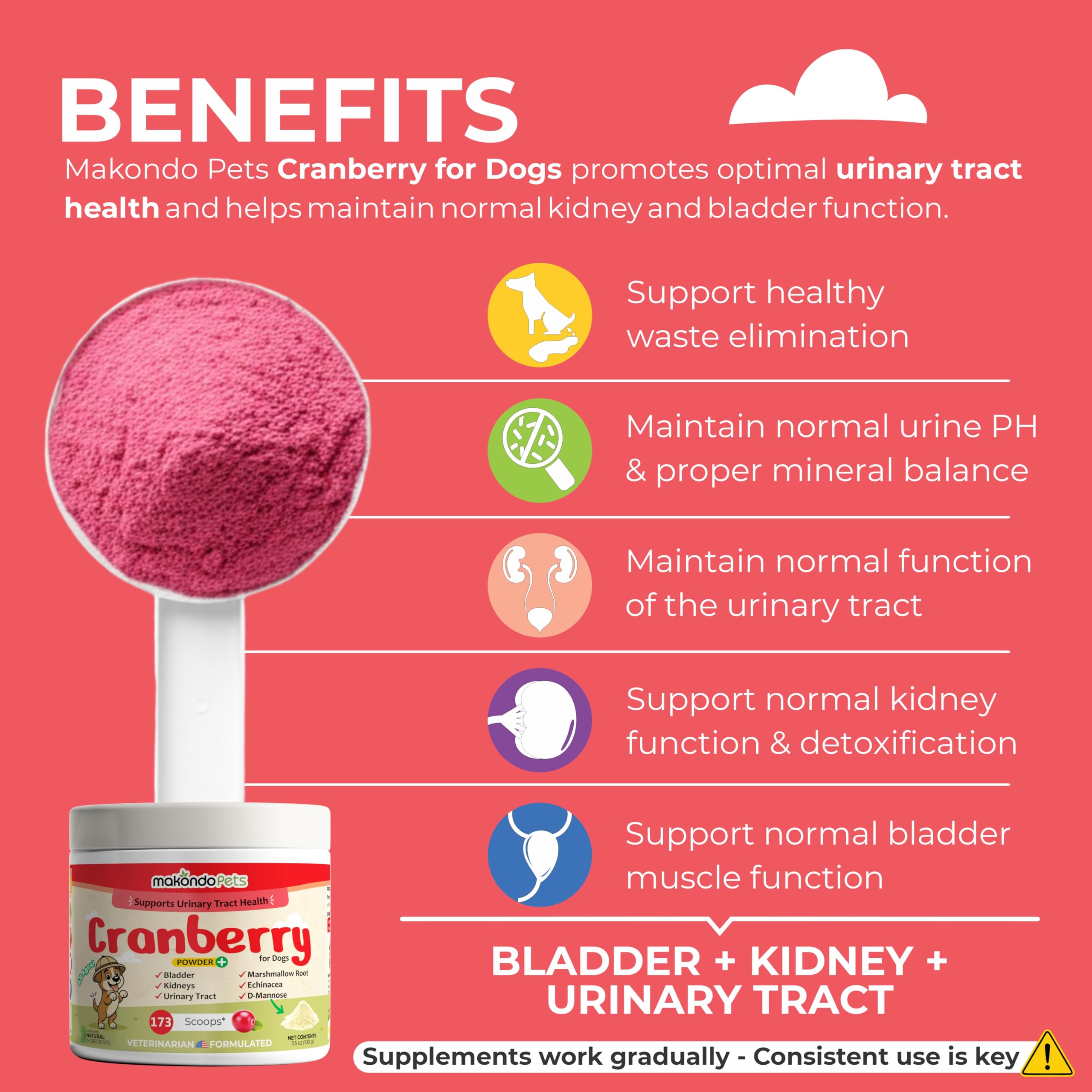 Makondo Pets cranberry powder scoop beside a dog bowl for easy daily use.