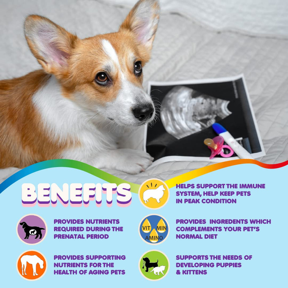 Makondo Pets nursing mother dog vitamins supporting lactation