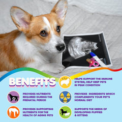 Makondo Pets nursing mother dog vitamins supporting lactation