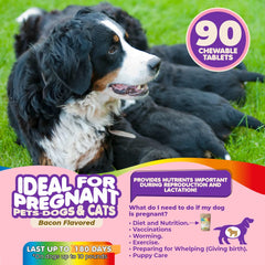 Makondo Pets scoop pouring prenatal vitamins into a bowl