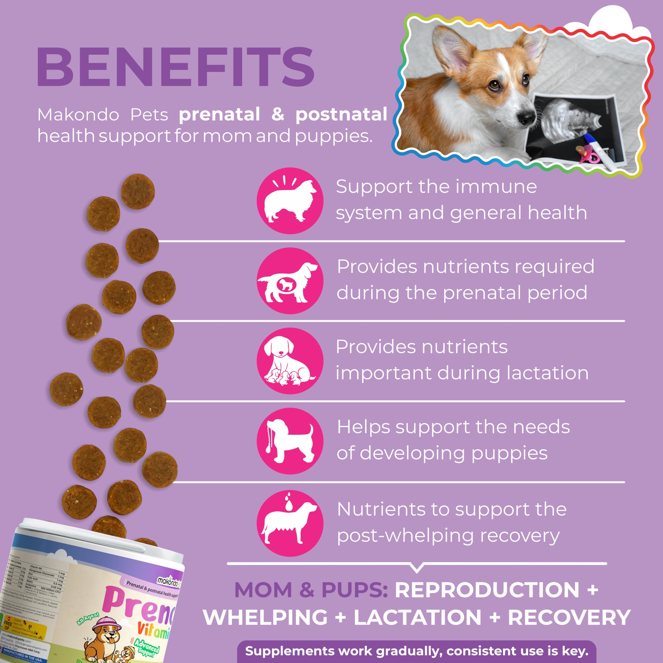 Makondo Pets folic acid and minerals highlight ingredients supporting healthy fetal development