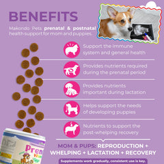 Makondo Pets folic acid and minerals highlight ingredients supporting healthy fetal development