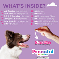 Makondo Pets probiotics for dogs show digestive support during pregnancy