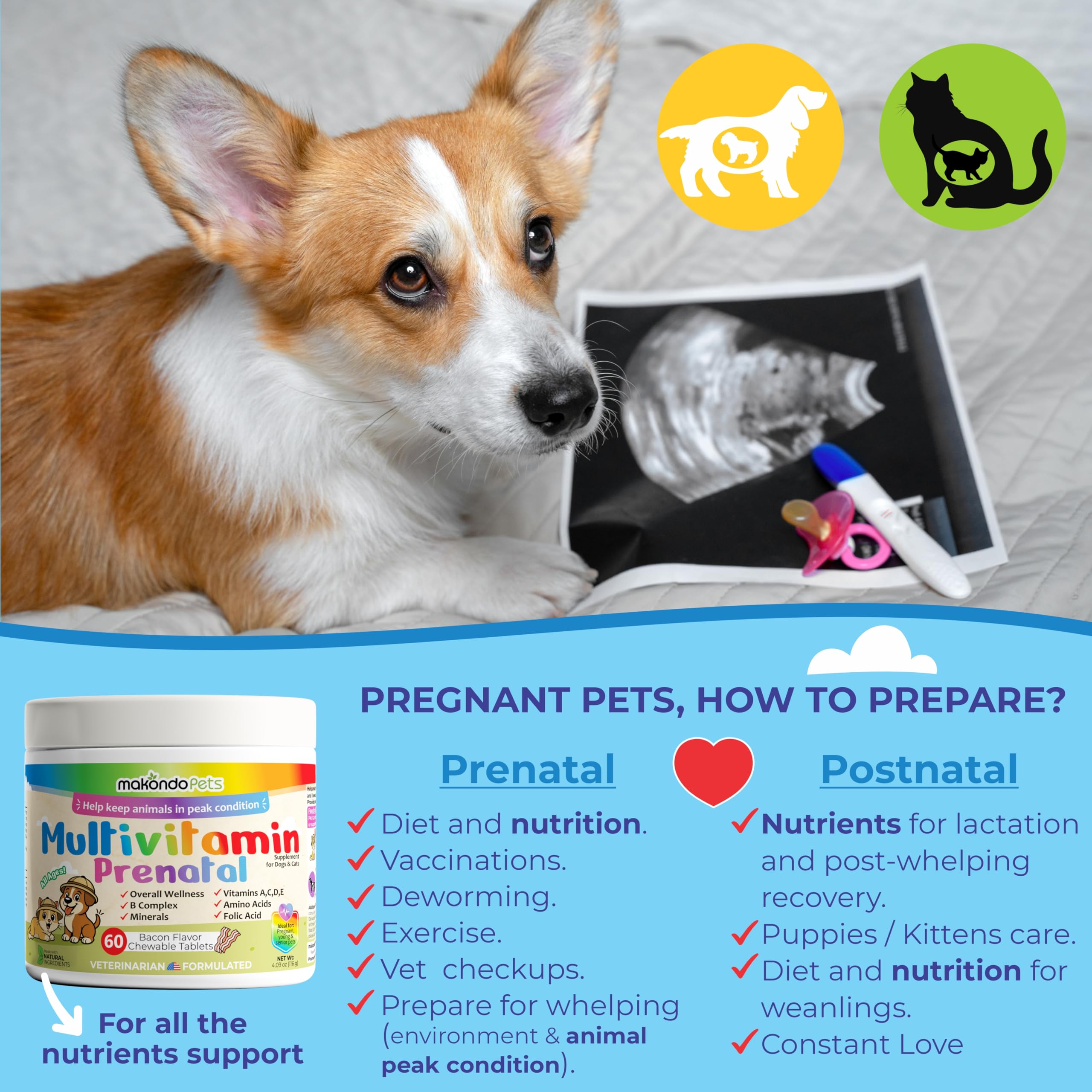Makondo Pets puppies newborns with nutrient-rich milk context