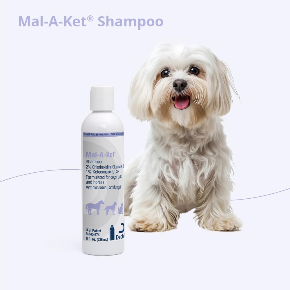 Owner towels-drying pet after a Mal-A-Ket bath for a refreshed coat.