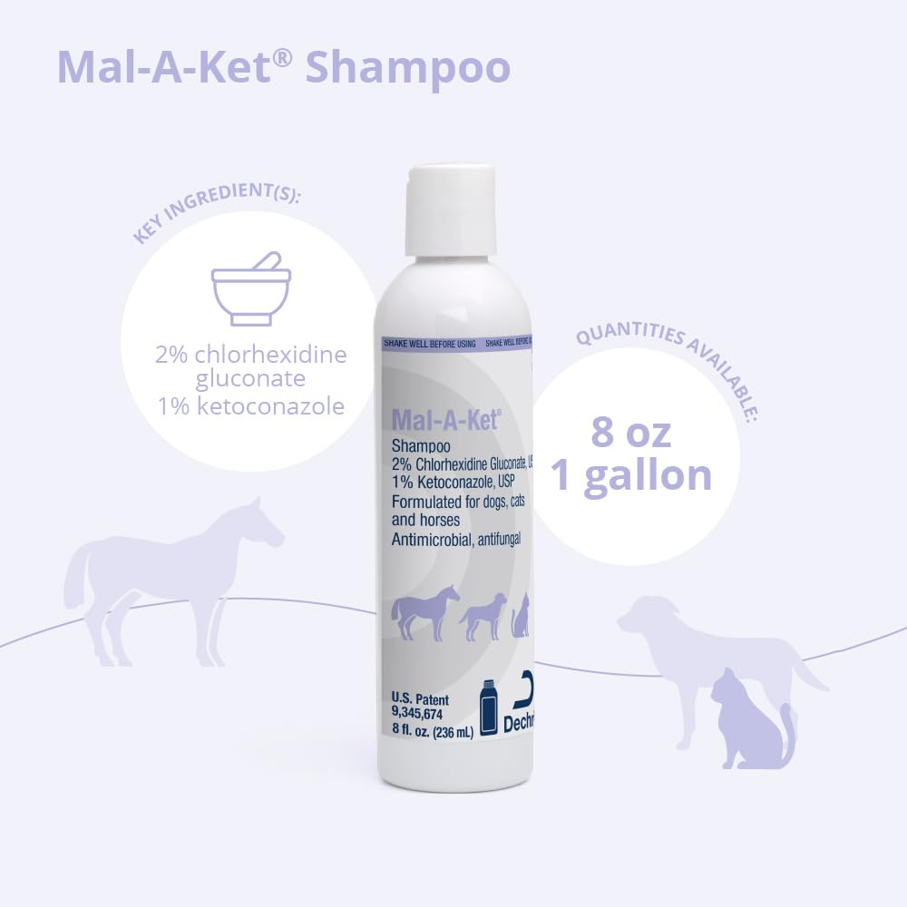 Mal-A-Ket shampoo lathers on a dog's coat during bath for cleansing.