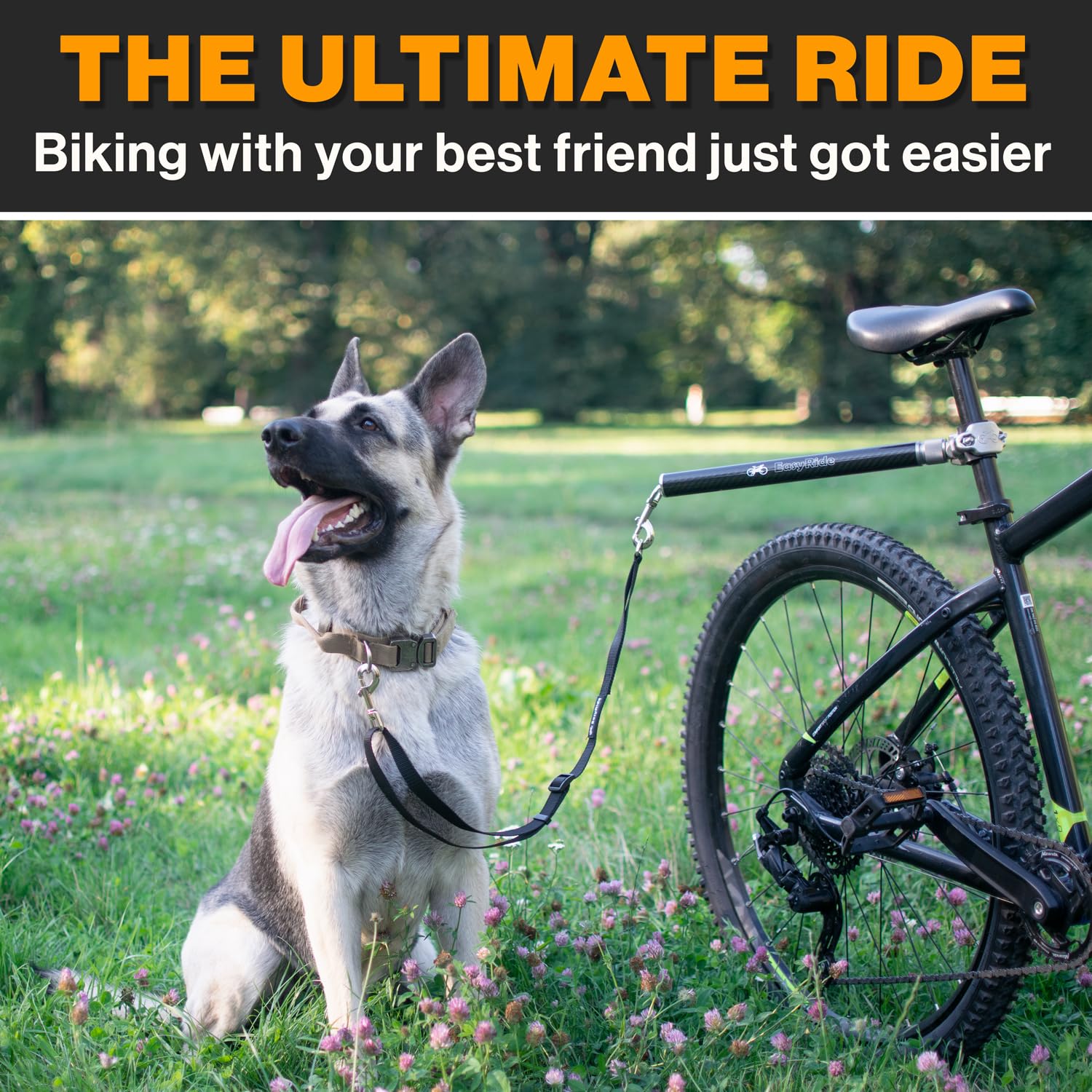 MALABI sturdy carbon steel build delivers durable performance on rugged rides.