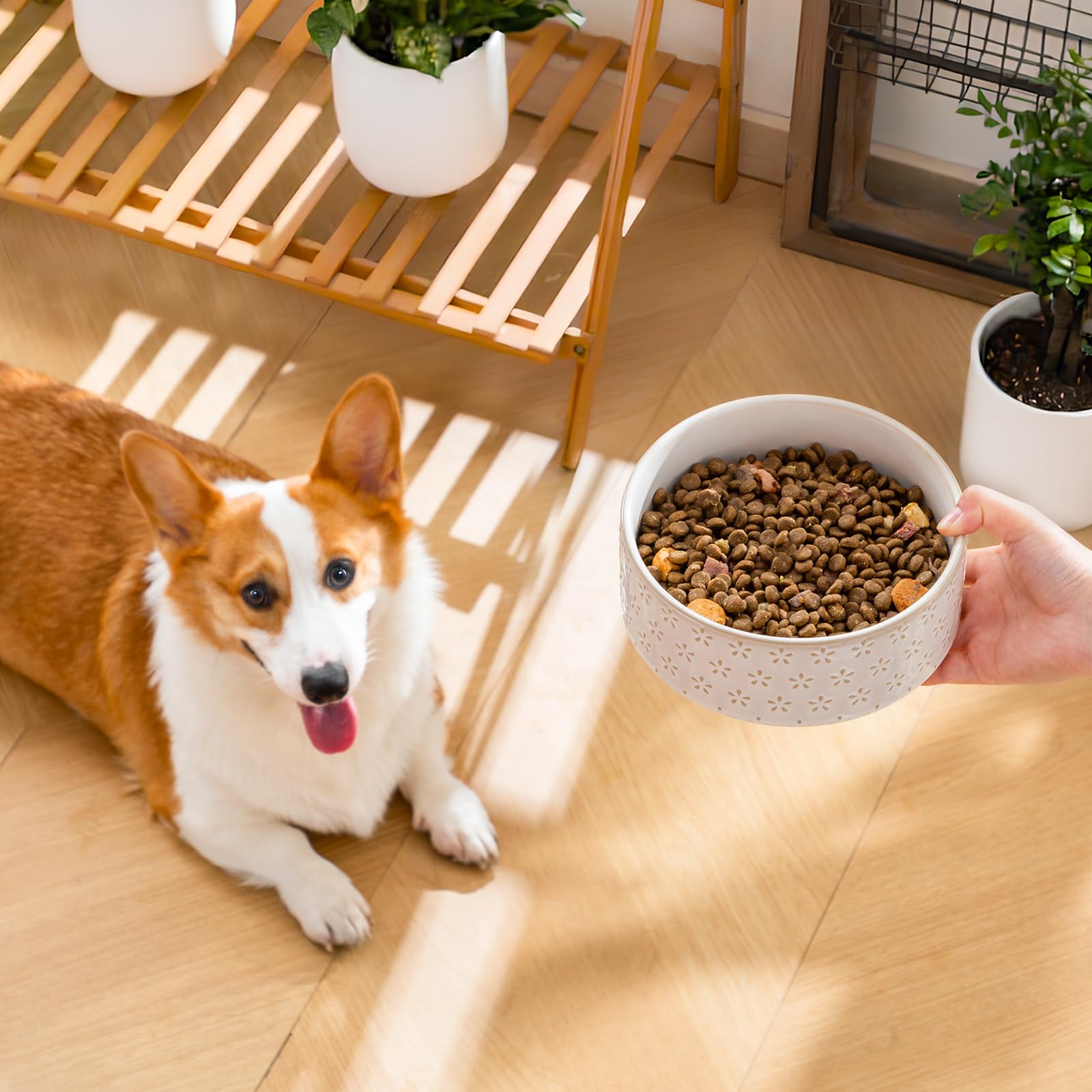 MALACASA bone-shaped bottom detail adds playful charm to the feeding area.