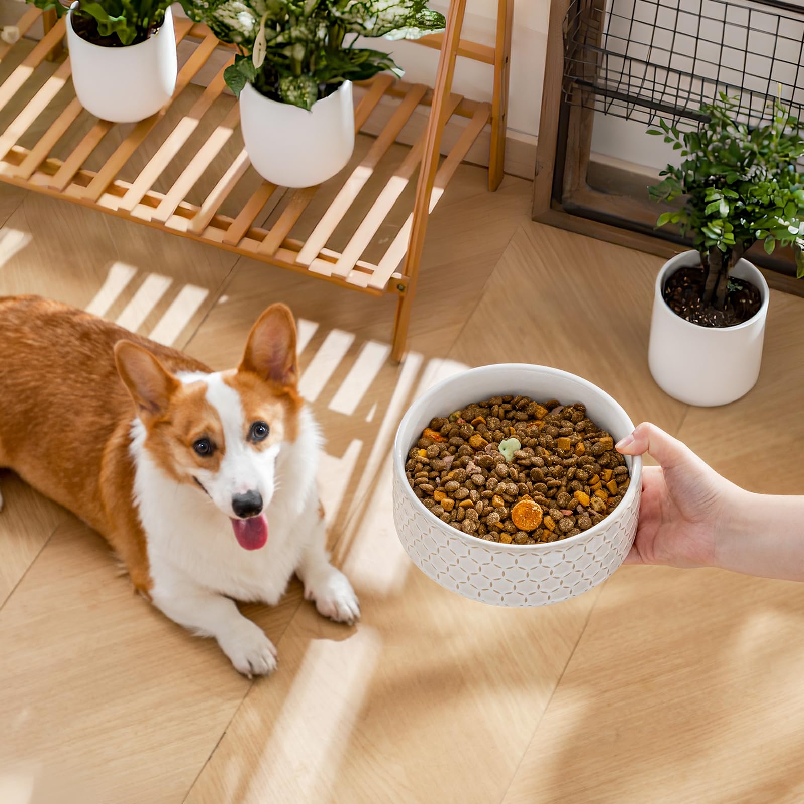 MALACASA bone shaped bottom detail adds whimsy during feeding