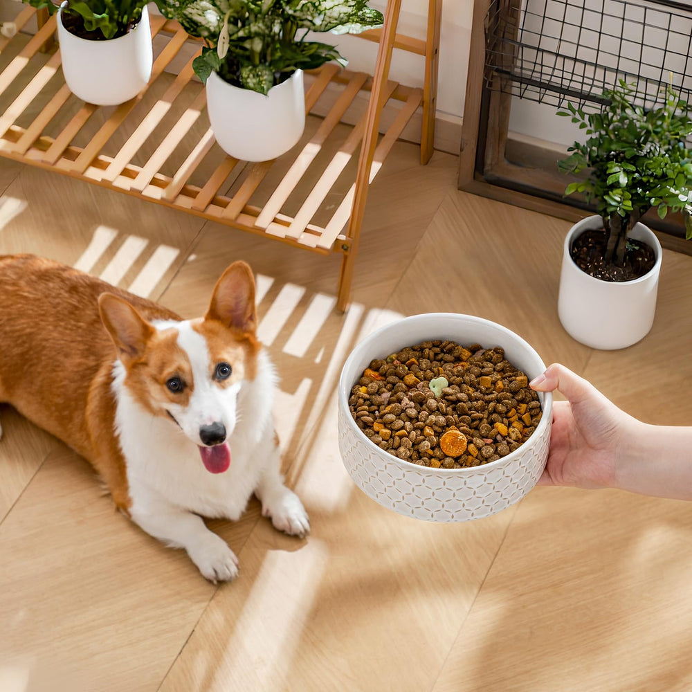 MALACASA bone shaped bottom detail adds whimsy during feeding