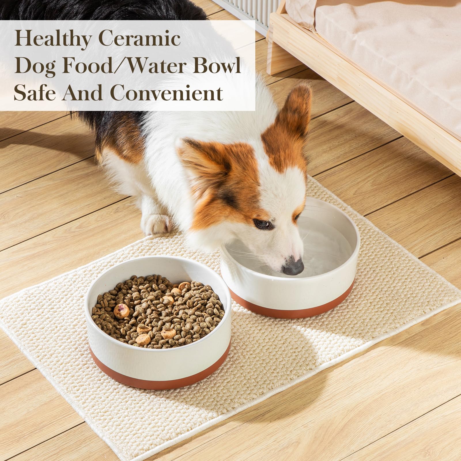 MALACASA ergonomic inside corners help effortless scooping for owners and pets