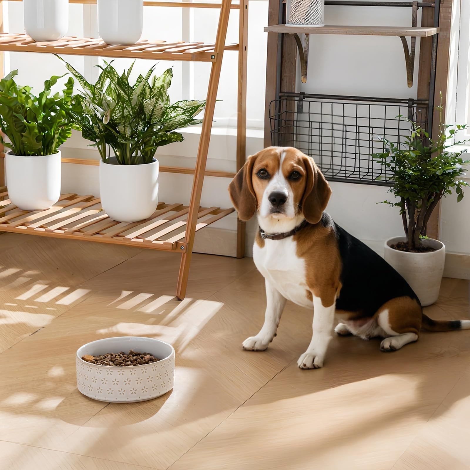 MALACASA cloverleaf pattern enhances aesthetics for a friendly feeding look.