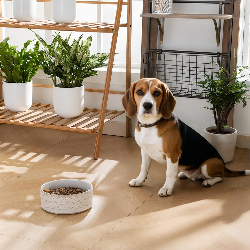 MALACASA cloverleaf pattern enhances aesthetics for a friendly feeding look.