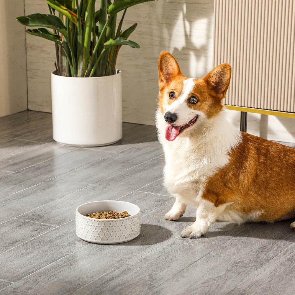 MALACASA dishwasher safe bowl for quick cleanup after meals