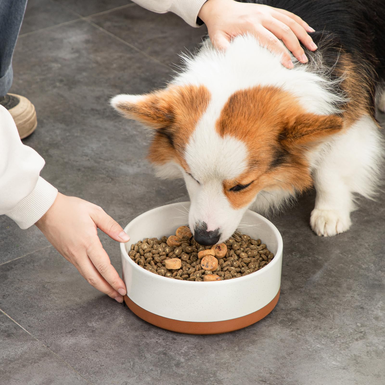 MALACASA non-porous ceramic resists odors and stains with daily use