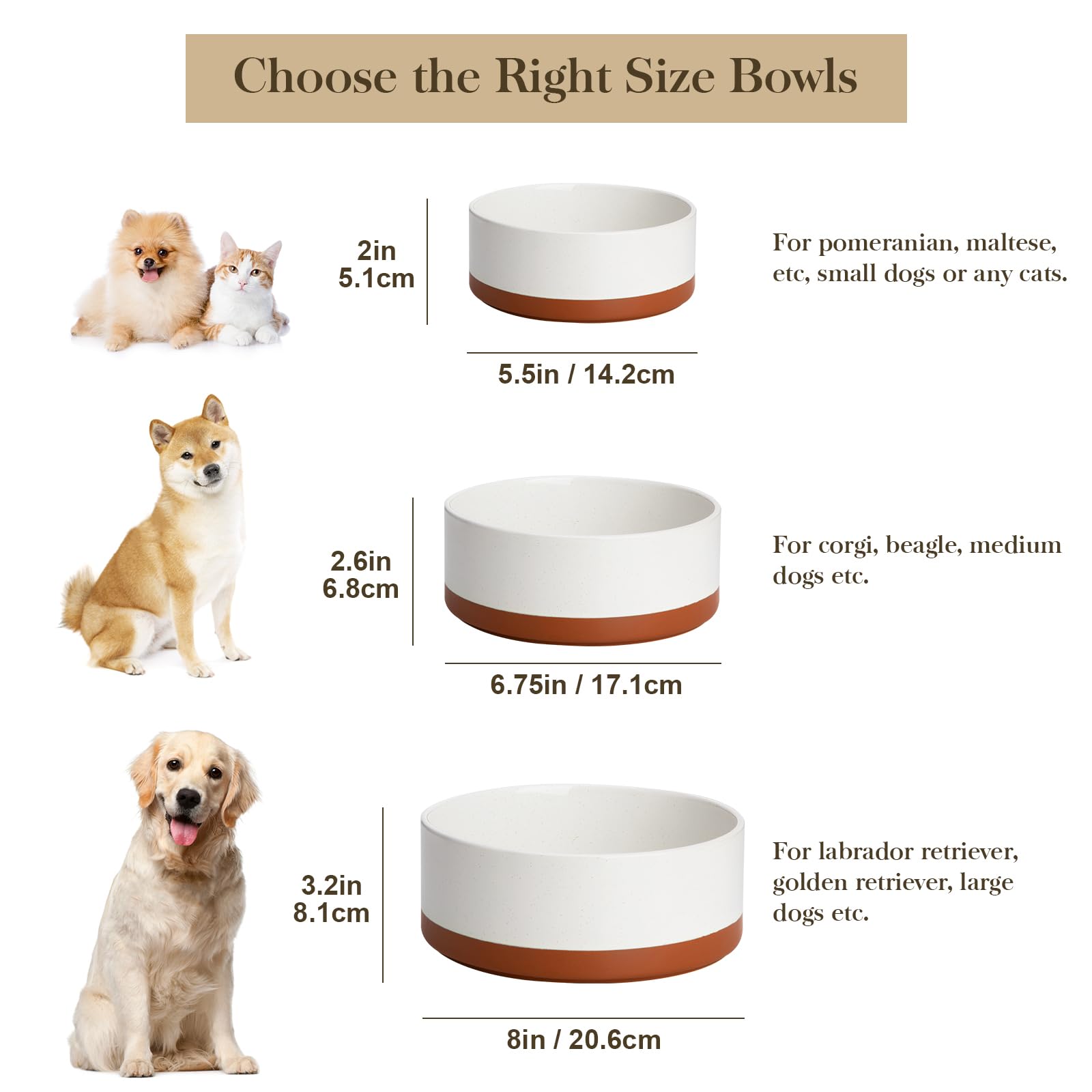 MALACASA dog bowl height 2.6 inches provides comfortable feeding.