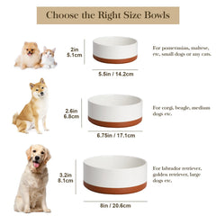 MALACASA dog bowl height 2.6 inches provides comfortable feeding.