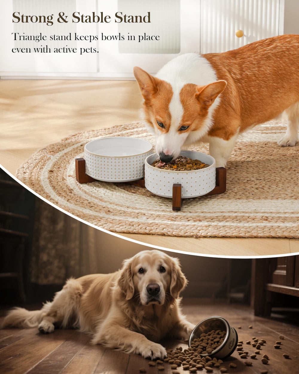 MALACASA glaze provides a smooth, easy-to-clean surface