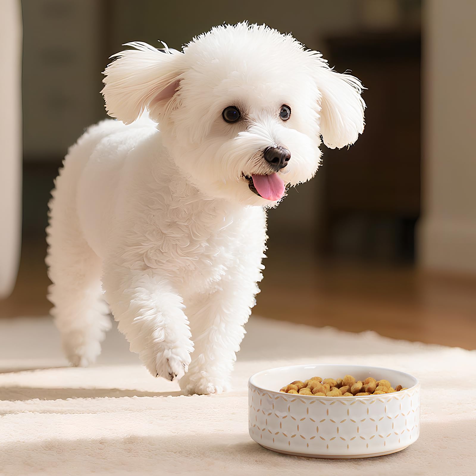 MALACASA lead-free food-grade ceramic ensures safe feeding surfaces for pets.