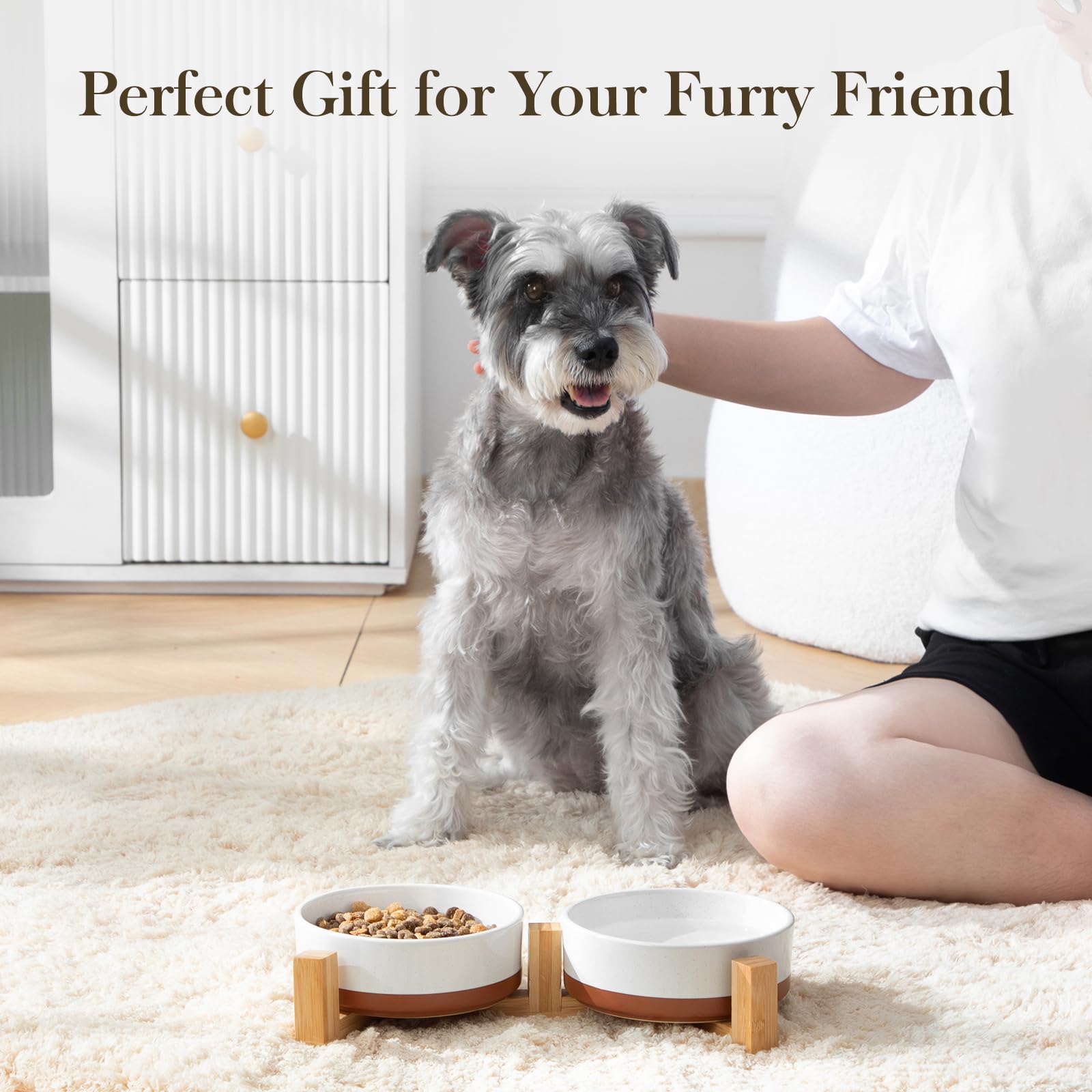 MALACASA pet dining setup shown in a cozy home environment
