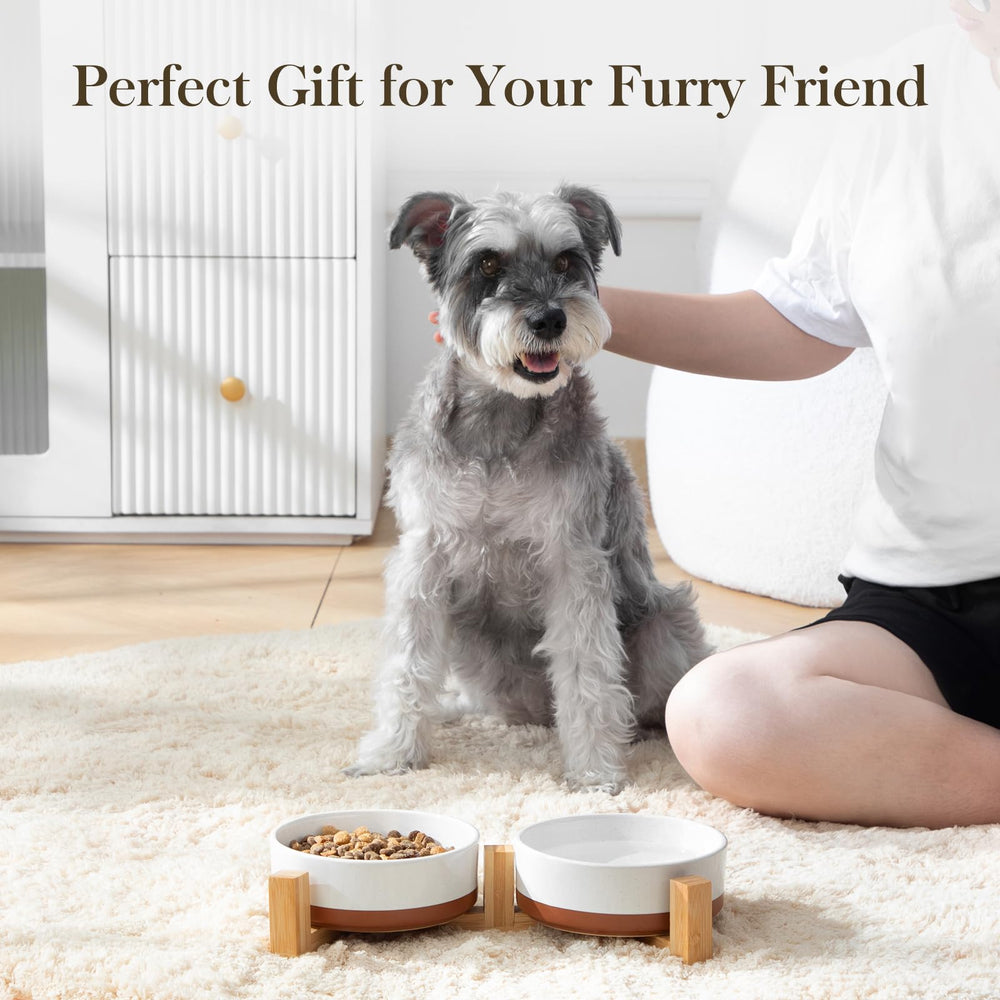 MALACASA pet dining setup shown in a cozy home environment