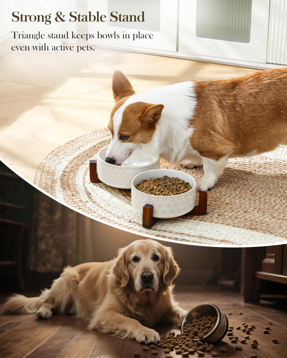 Removable ceramic bowls for quick cleaning and refilling after meals