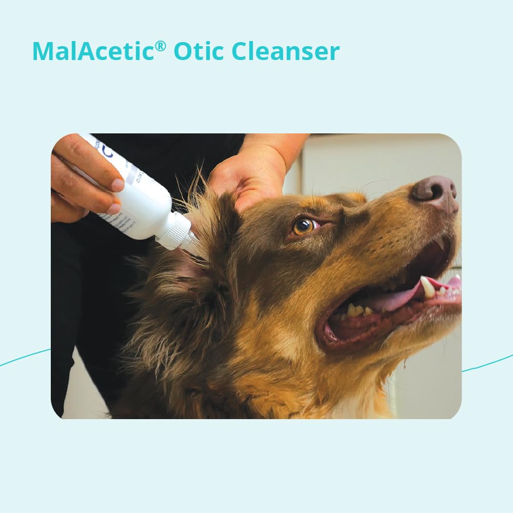 MalAcetic Otic cleanser suitable for cats during routine care.