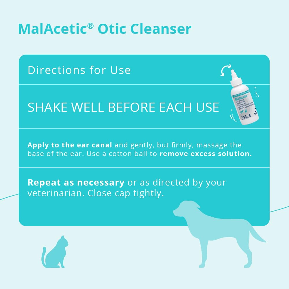 MalAcetic Otic cleanser drying ears after use, reducing moisture.