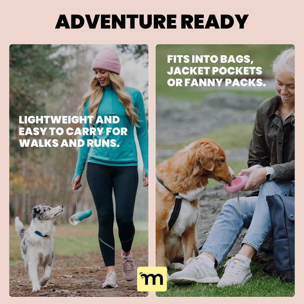 MalsiPree ideal for beach, camping, and park visits