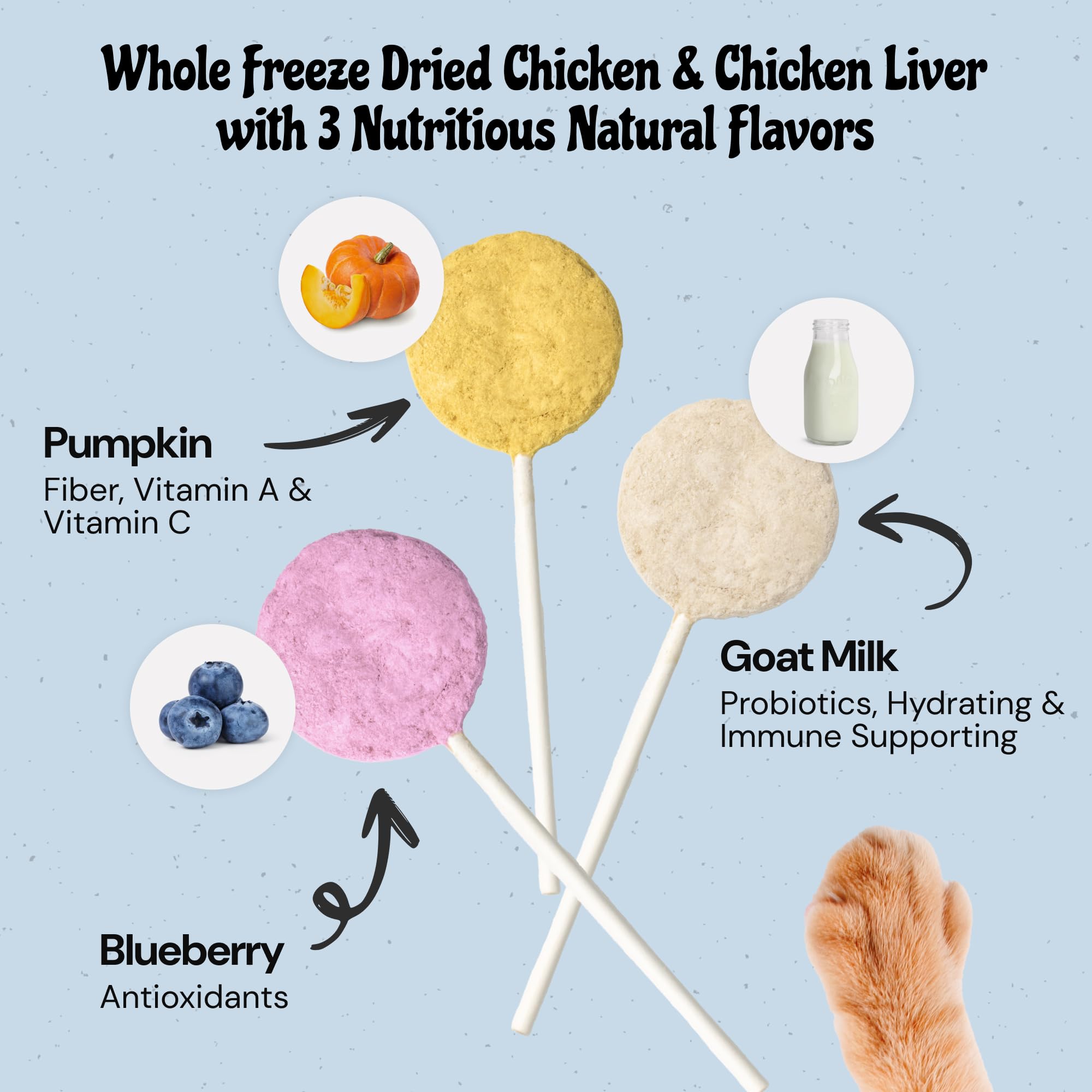 MalsiPree Chicken Pumpkin ingredients emphasize protein and fiber for nutrition