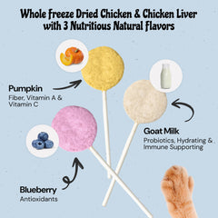 MalsiPree Chicken Pumpkin ingredients emphasize protein and fiber for nutrition