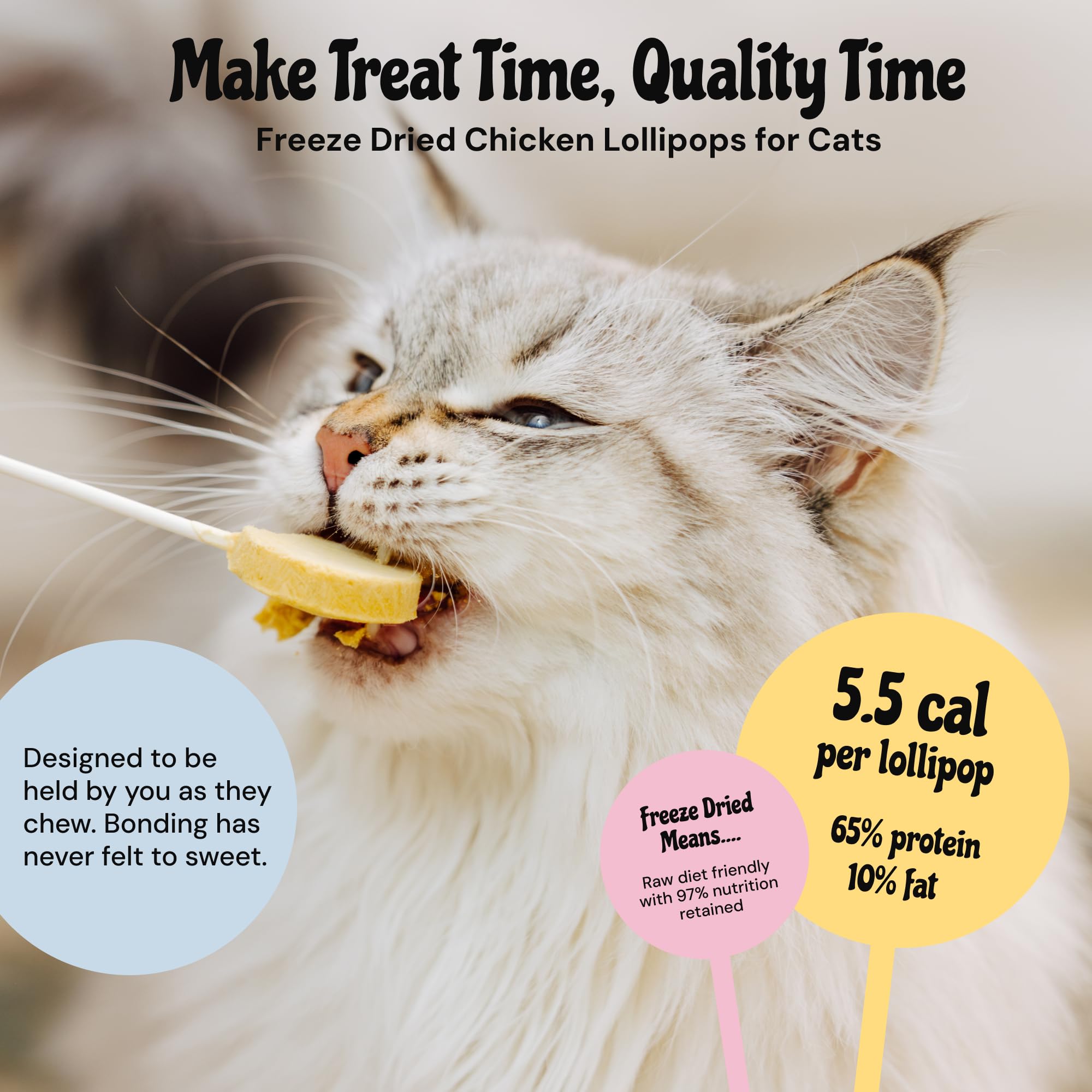 MalsiPree freeze-dried snack closeup highlighting crunchy texture for reward