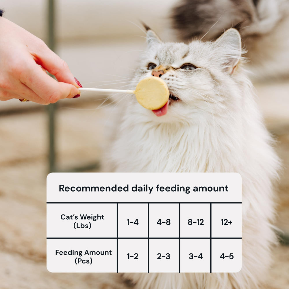 MalsiPree treats suitable for kittens to seniors in a gentle chew
