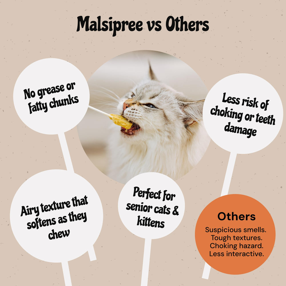MalsiPree Cat Lollipop Treats texture softening while being licked for gentle chewing