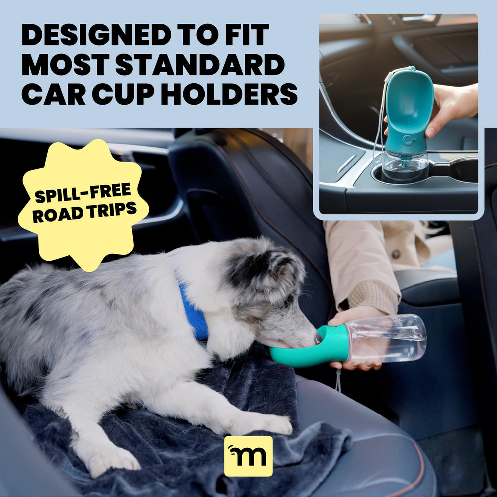 MalsiPree BPA-free travel bottle emphasizes safe outdoor hydration