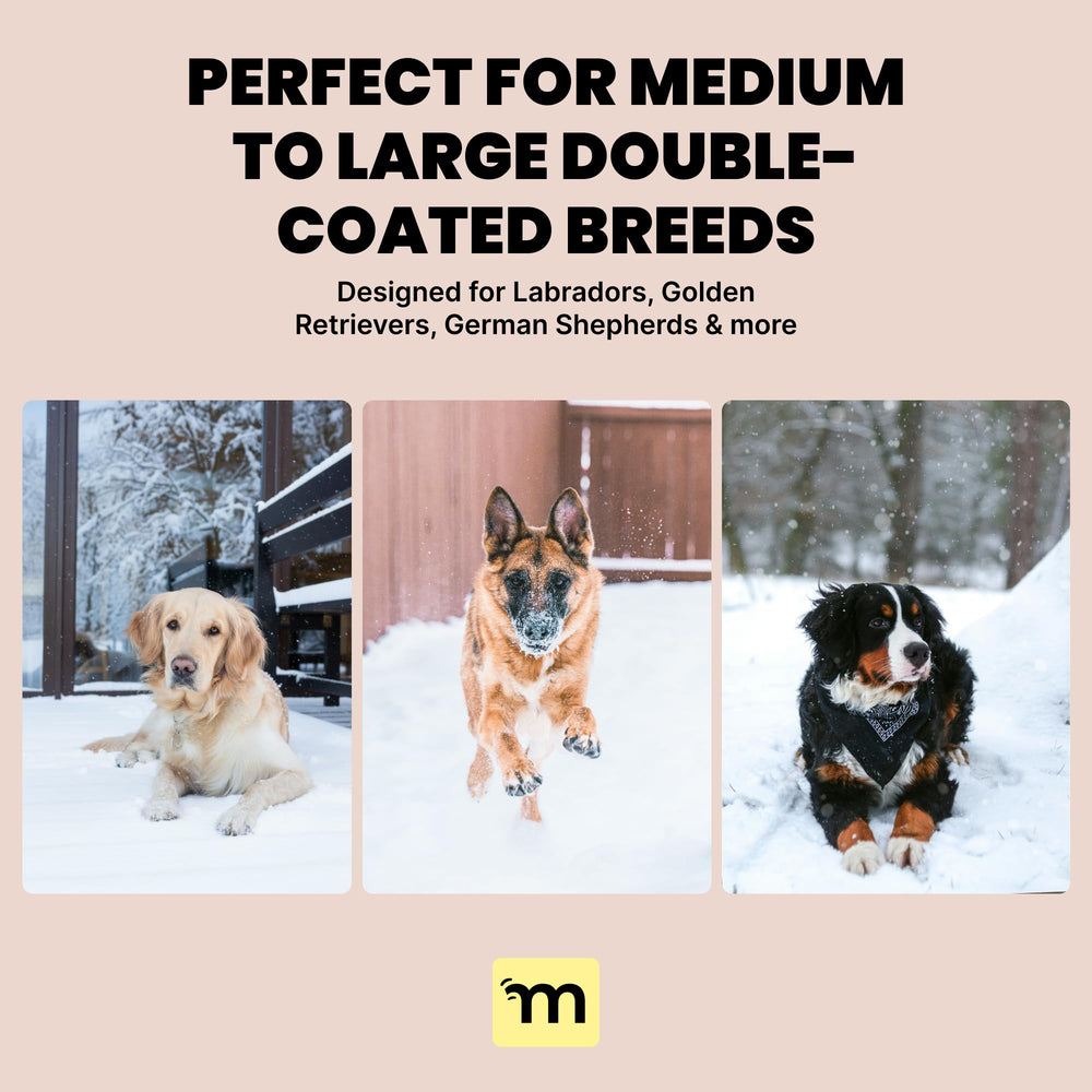 MalsiPree tool tackles mats on medium to large double-coated dogs